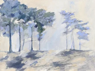 Alberi della foresta nebbiosa