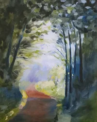 Sentiero nella foresta illuminato dal sole