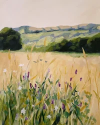 Colline ricoperte di fiori selvatici