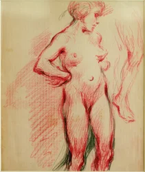 Nudo femminile in piedi