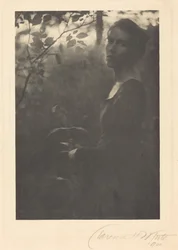 Ai margini del bosco, sera, 1900 (foto)