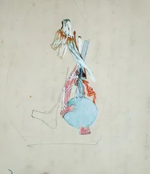Sistema nervoso nella testa di un gatto, 25 maggio 1842
