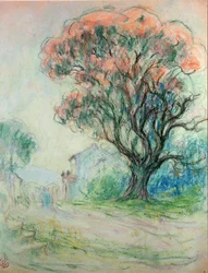 Albero rosa