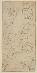 Studio di teste di animali, n.d.