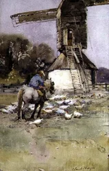 Cavaliere presso un mulino a vento