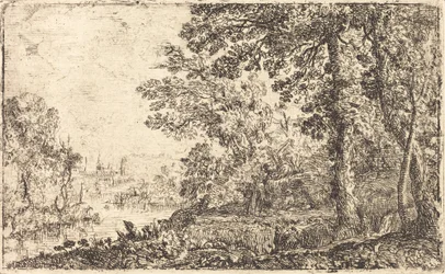 La visione