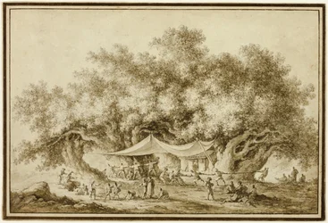 Vista del famoso castagno dell