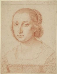 Testa di donna