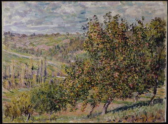 Fiori di Melo