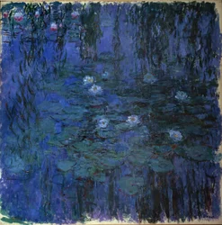 Ninfea blu