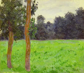 Due alberi nella prateria, 1886