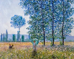 Campi in primavera