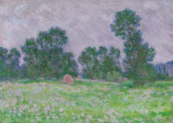 Prato fiorito a Giverny