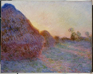 Covoni di fieno