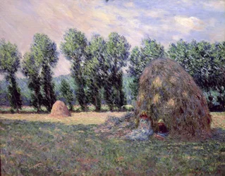 Covoni di fieno, 1885