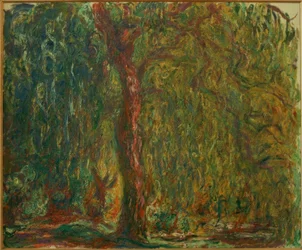 Il salice piangente