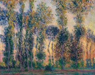 I pioppi a Giverny, alba