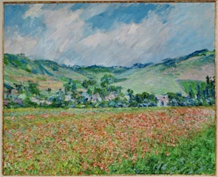 Campo di papaveri