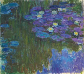 Ninfee in Fiore