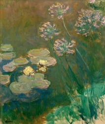 Ninfee e Agapanthus