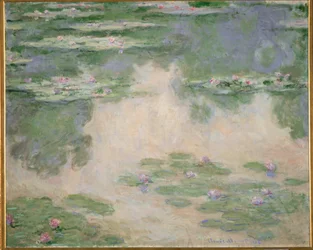 Ninfe (olio su tela)