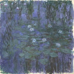 Ninfee blu