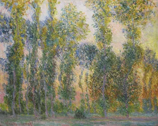 Pioppi a Giverny, 1887
