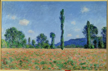 Campo di papaveri, 1890