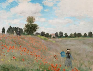 Campo di papaveri, 1873