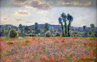 Campo di papaveri, 1887