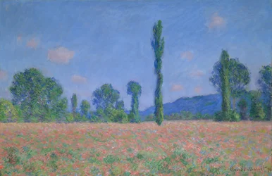 Campo di papaveri a Giverny, 1890-91