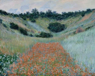 Campo di papaveri in una conca presso Giverny