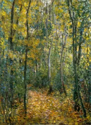 Sottobosco
