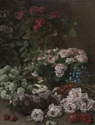 Fiori di primavera