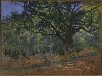 La quercia di Bodmer, foresta di Fontainebleau, 1865