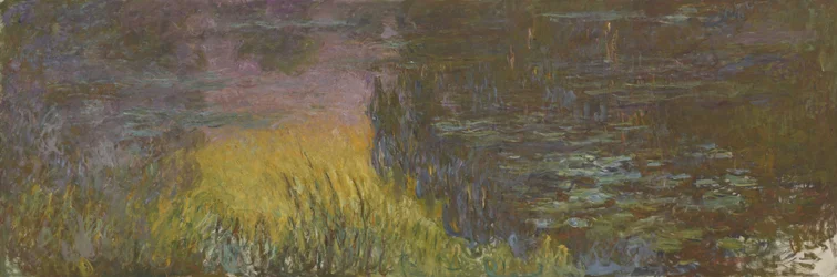 Le ninfee - Sole al tramonto