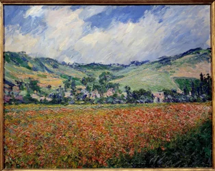 Il campo di papaveri