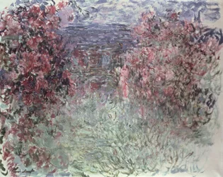 Immagine sconosciuta