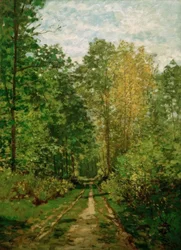 Sentiero nel bosco