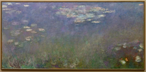 Ninfee (Agapanthus), 1915-26 circa (olio su tela)