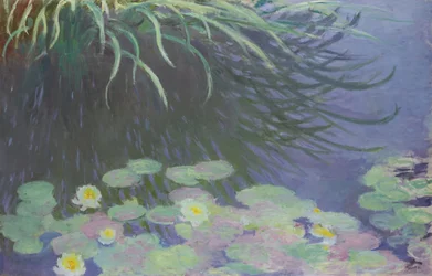 Ninfee con riflessi di erba alta, 1914-1917