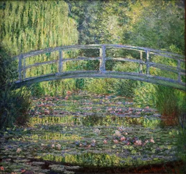 Stagno delle ninfee, armonia verde