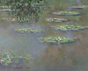 Ninfee, 1903