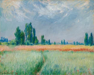 Campo di Grano