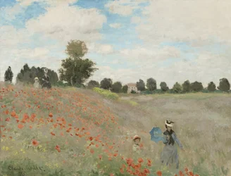 Campo di Papaveri
