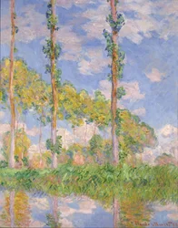 Pioppi al Sole