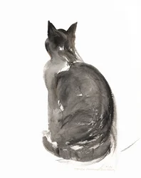 Gatto, 1985