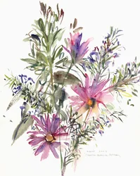 Fiori, margherite sudafricane e lavanda, 2004