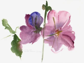 Malvarose, 1988