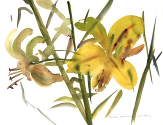 Gigli, 1987
